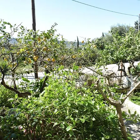 Ntana'S House Bohali Zakynthos